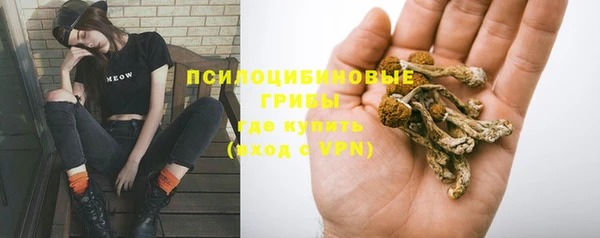 каннабис Вяземский