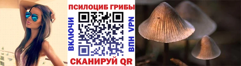 Псилоцибиновые грибы Cubensis  kraken ТОР  Гусиноозёрск 
